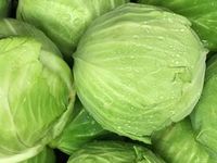 Quench Your Thirst: 4 Easy Fruit Infused Water Recipes